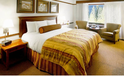 The Hotel Alyeska