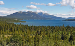Tagish Wilderness Lodge