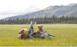Kleingruppenreise: Best of Yukon & Alaska, 15 Tage