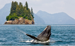 Alaska Kreuzfahrt - Norwegian Jewel, 8 Tage