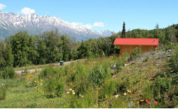 Knik River Lodge