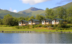 Bärenbeobachtung: Kodiak Brown Bear Center
