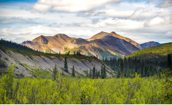 Kleingruppenreise: Discover Yukon & Northwest Territories, 15 Tage