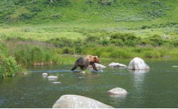 Zachar Bay Lodge