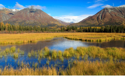 Great Alaska, 15 Tage