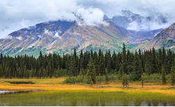 Bahnreise Alaska, 8 Tage 