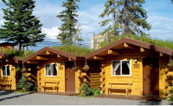Burnt Paw & Cabins Outback
