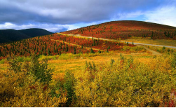 Silver Trail & Dempster Highway, 15 Tage