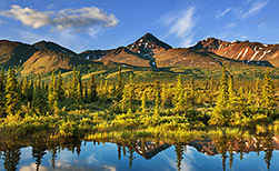 Denali Nationalpark