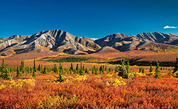 Denali Nationalpark