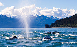 Juneau