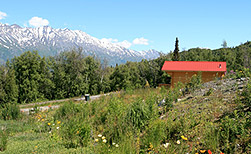 Knik River