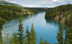 Whitehorse