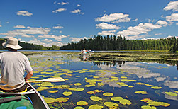 Frances Lake
