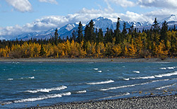 Haines