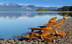 Tagish Lake
