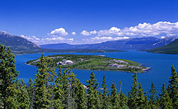 Tagish Lake