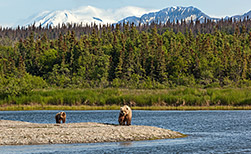 Tagish Lake