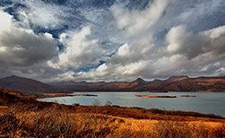 Kodiak