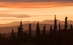 Kodiak