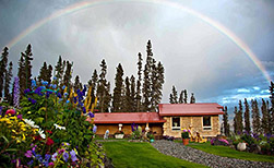 Chitina