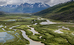 Chitina
