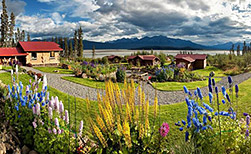 Chitina
