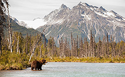 Haines Junction