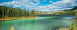 Alaska Reisetipps